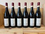 2019 Brunelli Amarone - Amarone della Valpolicella DOCG - 6, Verzamelen, Wijnen, Nieuw