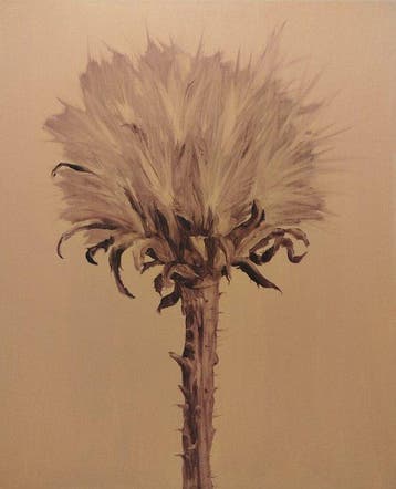 Della Goinne - Plant Portrait No.3 - Asteraceae - XL -