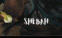 Shebah - SPLENDEUR PASSAGÈRE 001