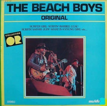 The Beach Boys - The Original Beach Boys, Verzenden, Gebruikt