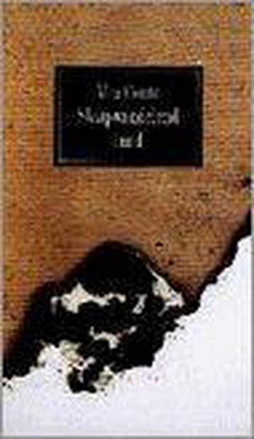Slaapwandelend land / Derde Spreker Serie 9789026313332, Verzenden, M. Couto