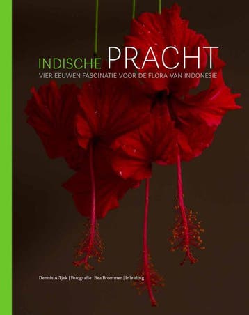 Indische pracht 9789460224935 Dennis A-Tjak, Verzenden, Zo goed als nieuw, Dennis A-Tjak