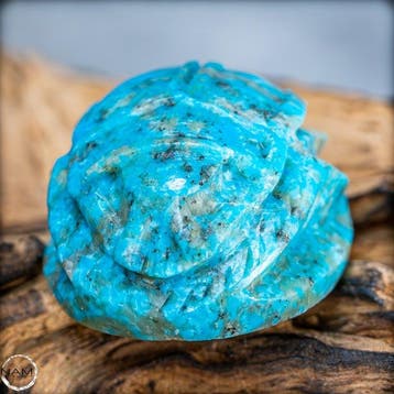 sculpture de scarabée en turquoise naturelle Arizona 89,4