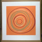 Denise Duplock - Ozone - handsigned Screenprint / Siebdruck