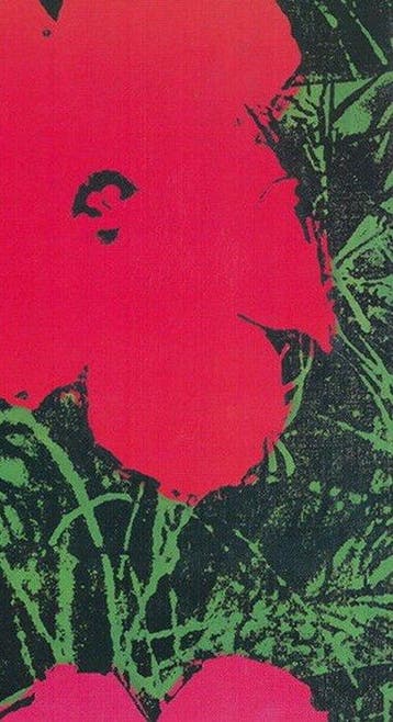 Andy Warhol - Flowers - Jaren 1960