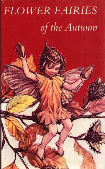 Flower Fairies of the Autumn, Verzenden, Nieuw