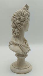 sculptuur, Busto di Apollo - 31 cm - marmerstof