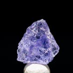 Uitzonderlijke TANZANITE Blade • 1,40 ct • pleochroïsche