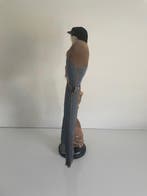 Azure-winged magpie Taxidermie volledige montage - Cyanopica, Nieuw