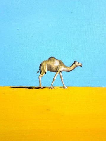 K.milla - One Hump Over the Line - Camel