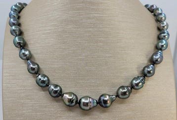 Sans prix de réserve - Collier Perles de Tahiti certifiées
