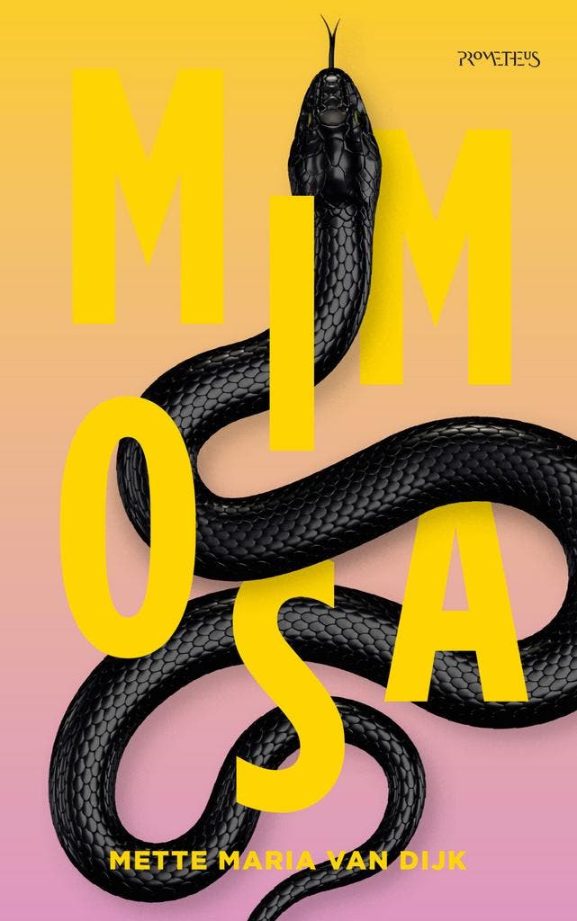 Mimosa (9789044652291, Mette Maria van Dijk), Livres, Romans, Envoi
