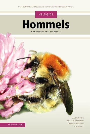 Veldgids Hommels | Martijn Kos; Vincent Kalkman; John Smit, Verzenden, Nieuw, Martijn Kos; Vincent Kalkman; John Smit