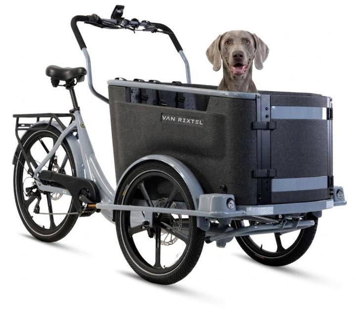 Elektrische bakfiets Van Rixtel Family dog e-bike, Vélos & Vélomoteurs, Vélos | Vélos avec bac, Envoi