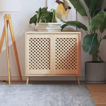 vidaXL Kastdeuren met latwerk 2 st 39,5x61,5 cm massief, Verzenden, Nieuw