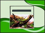 Osaka Ultrascape zwart 60x30x36cm aquarium + 3x LED verlicht, Verzenden, Nieuw, Verlichting of Verwarming