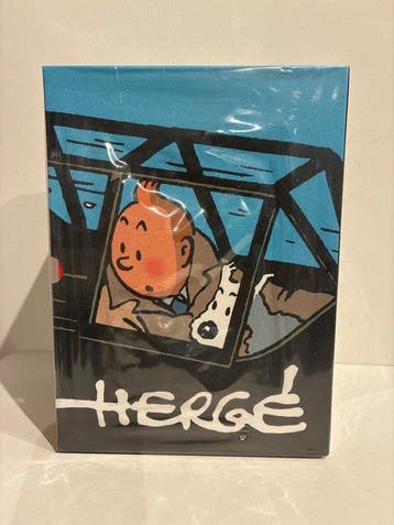 Tintin Verzamelbox - Complete reeks in Box in gesealde, Boeken, Nieuw