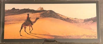 Panamarenko (1940-2019) - Reis naar Egypte I