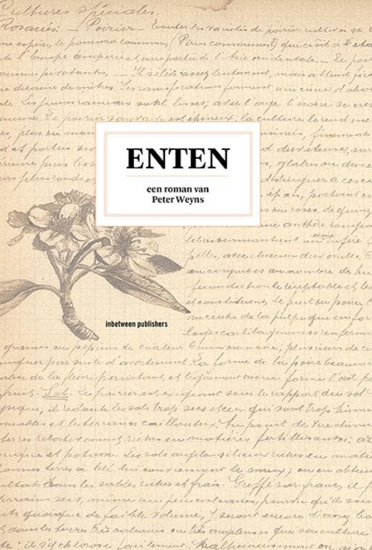 Enten 9789082228588 Peter Weyns, Livres, Romans, Envoi