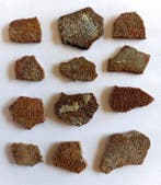 Schelpen van dinosauruseieren uit Frankrijk. -, Verzamelen