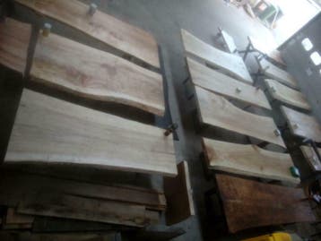 BOOMSTAMTAFEL, TAFELBLADEN , BOOMBLADEN, NATUURTAFELS, Ophalen