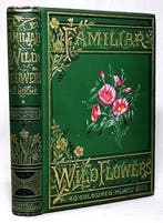 F. Edward Hulme - Familiar Wild Flowers (With 40 Coloured