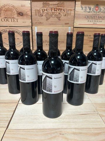 2019 Monte Rosola Cuvée Indomito - Toscane - 12 Flessen, Nieuw