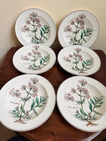 Villeroy & Boch - Assiette à dîner (6) - Botanica -