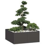 vidaXL Plantenbak 100x100x40 cm staal zwart, Verzenden, Nieuw