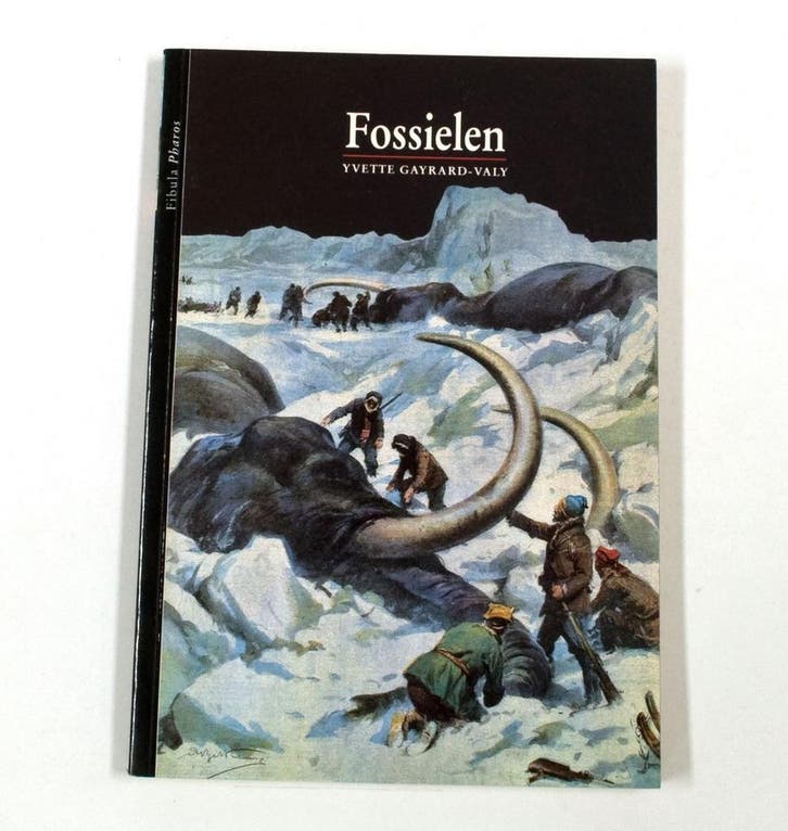 Fossielen 9789026964398 Ellen H.L. Kasteleijn, Boeken, Geschiedenis | Wereld, Gelezen, Verzenden