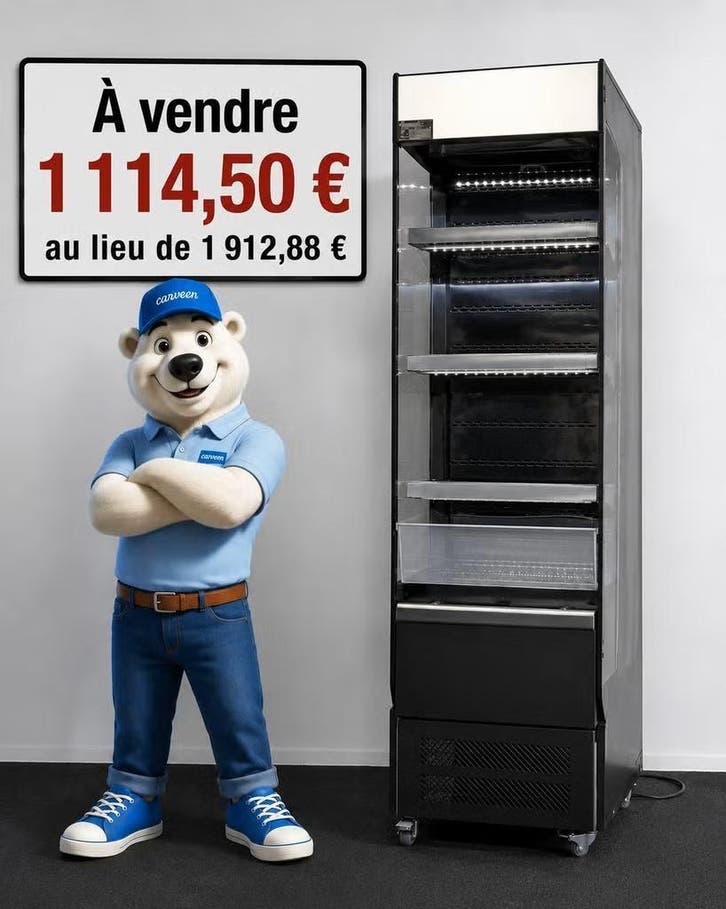 Frigo mural professionnel pour magasin / horeca, Electroménager, Réfrigérateurs & Frigos, 45 à 60 cm, 200 litres ou plus, 160 cm ou plus