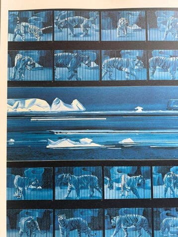 Monory Jacques (1924- ) - TIGRE I, Antiek en Kunst