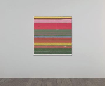 Bernhard Lang - AV_Tulip_Fields_036 XL