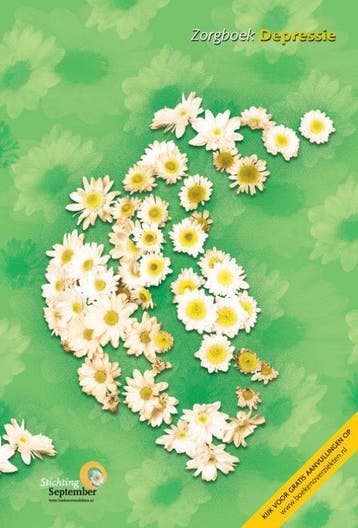 Zorgboek depressie - C. Flens - 9789086480197 - Paperback, Verzenden