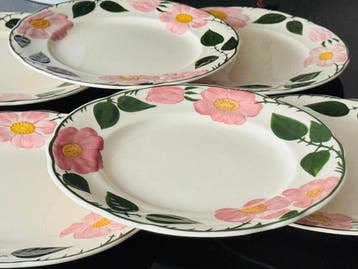 Villeroy & Boch - Bord (6) - Porselein - 26 cm