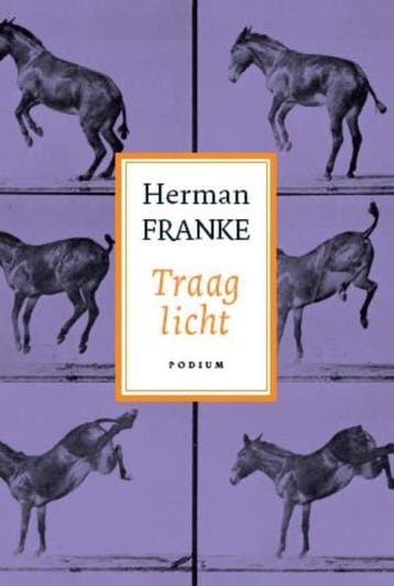Traag licht / Voorbij ik en waargebeurd / 3 9789057594045, Verzenden, Herman Franke