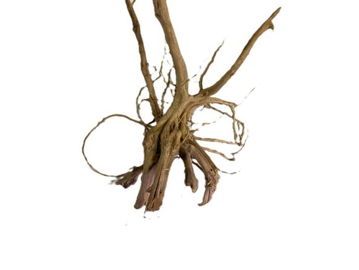 Driftwood Selected dw41 60x28x30cm (Small drift wood), Animaux & Accessoires, Poissons | Aquariums & Accessoires, Enlèvement ou Envoi