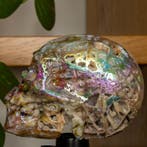 Sphaleriet Titanium Aura Kwaliteits-Schedel Schedel -, Verzamelen, Mineralen en Fossielen