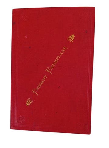 Nederland - Alblasserwaard; Kuhn & Zoon - Terreinkaart der