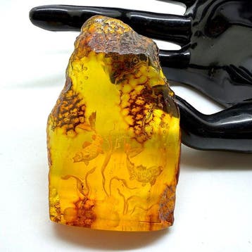 Uitgehouwen natuurlijke hele steen uit Baltisch amber, 20,7