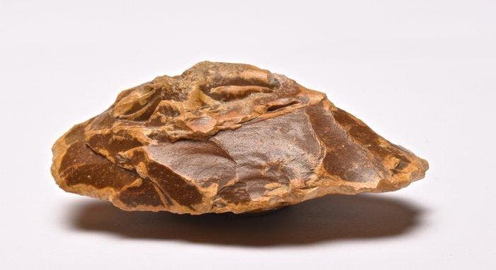 Acheuleaan Vuursteen paleolithische biface, Antiek en Kunst, Antiek | Overige Antiek