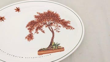 Richard Ginori - Dienblad - Porselein - bonsai