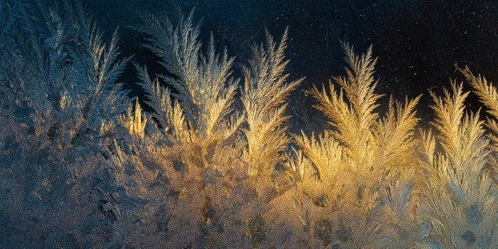 Miss Evoke - Burnished Dreams - XXL, Antiek en Kunst, Kunst | Designobjecten