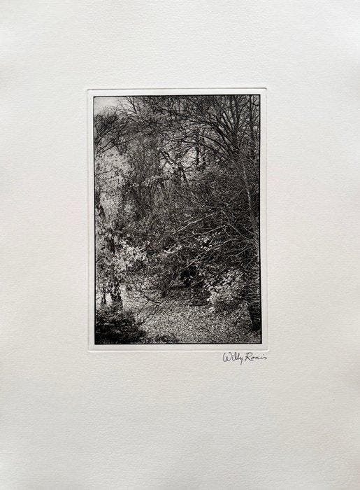 Willy Ronis (1910–2009) - Marie-Anne à Nogent-sur-Marne,, Antiquités & Art, Art | Objets design