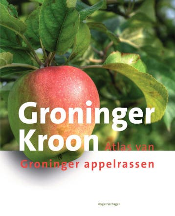Groninger Kroon 9789023259435 Rogier Verhagen, Verzenden, Zo goed als nieuw, Rogier Verhagen