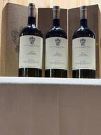 2024 Marche di Gresi Sauvignon - Langhe - 3 Magnum (1,5 L), Collections