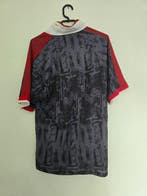 AFC Ajax - Championnat de Football des Pays-Bas - 1996 -, Nieuw