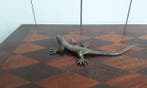 P. Chenet - Figure - Hagedis - Bronze, Antiek en Kunst