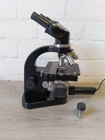 Binocular compound microscope - 700516 - 1960-1970 -