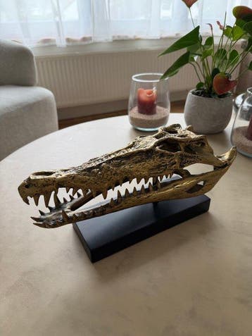 Jake Richmond (XX) - Saltwater Crocodile Skull 2.0